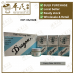 Tieh Ta Feng Shih Balm Dragon 跌打风湿青龙膏 25G (蓝) | Bulk Buy | 1 Dozen | 12 Pcs | Exp: 06/2028