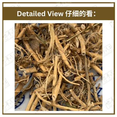 Chinese Herbs 中华草药