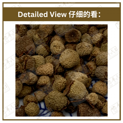 Chinese Herbs 中华草药