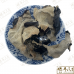 Chinese Herbs 中华草药