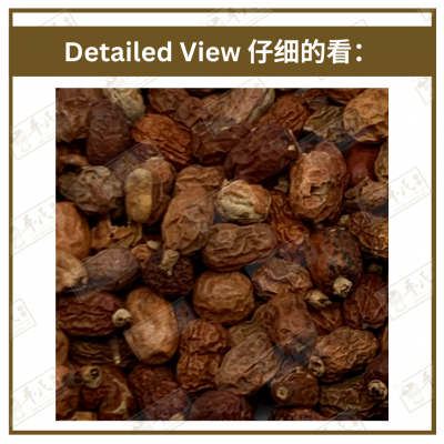 Chinese Herbs 中华草药