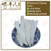 Chinese Herbs 中华草药