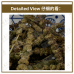 Chinese Herbs 中华草药