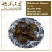 Chinese Herbs 中华草药