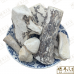 Chinese Herbs 中华草药