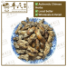 Chinese Herbs 中华草药
