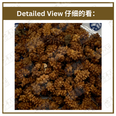 Chinese Herbs 中华草药