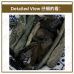 Chinese Herbs 中华草药