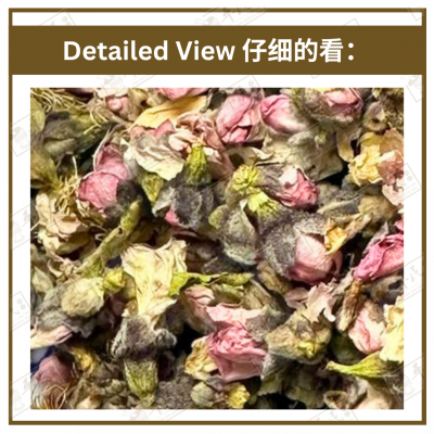 Chinese Herbs 中华草药