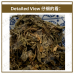 Chinese Herbs 中华草药