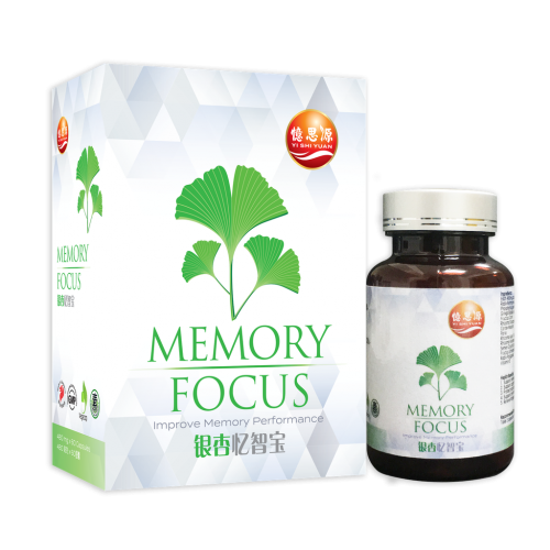 Memory Focus 60S 银杏忆智宝 Yi Shi Yuan 忆思源