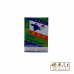 Tai Chi 太极 Shang Feng Gao 伤风膏 30ml