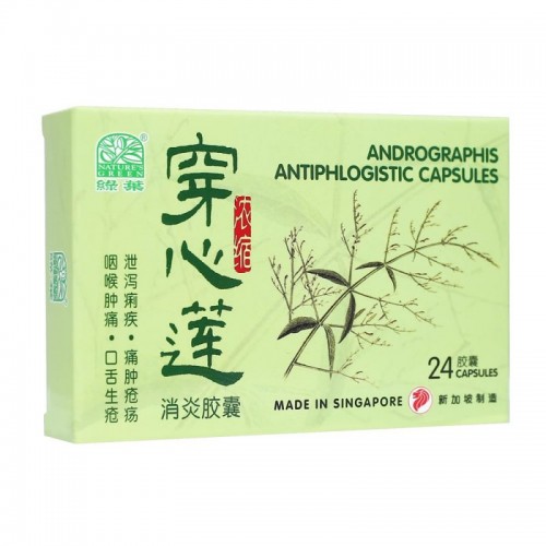 Chuan Xin Lian Xiao Yan Jiao Nang Andrographis Antiphlogistic Capsules 24S 穿心莲消炎胶囊 24 S Nature'S Green 绿叶