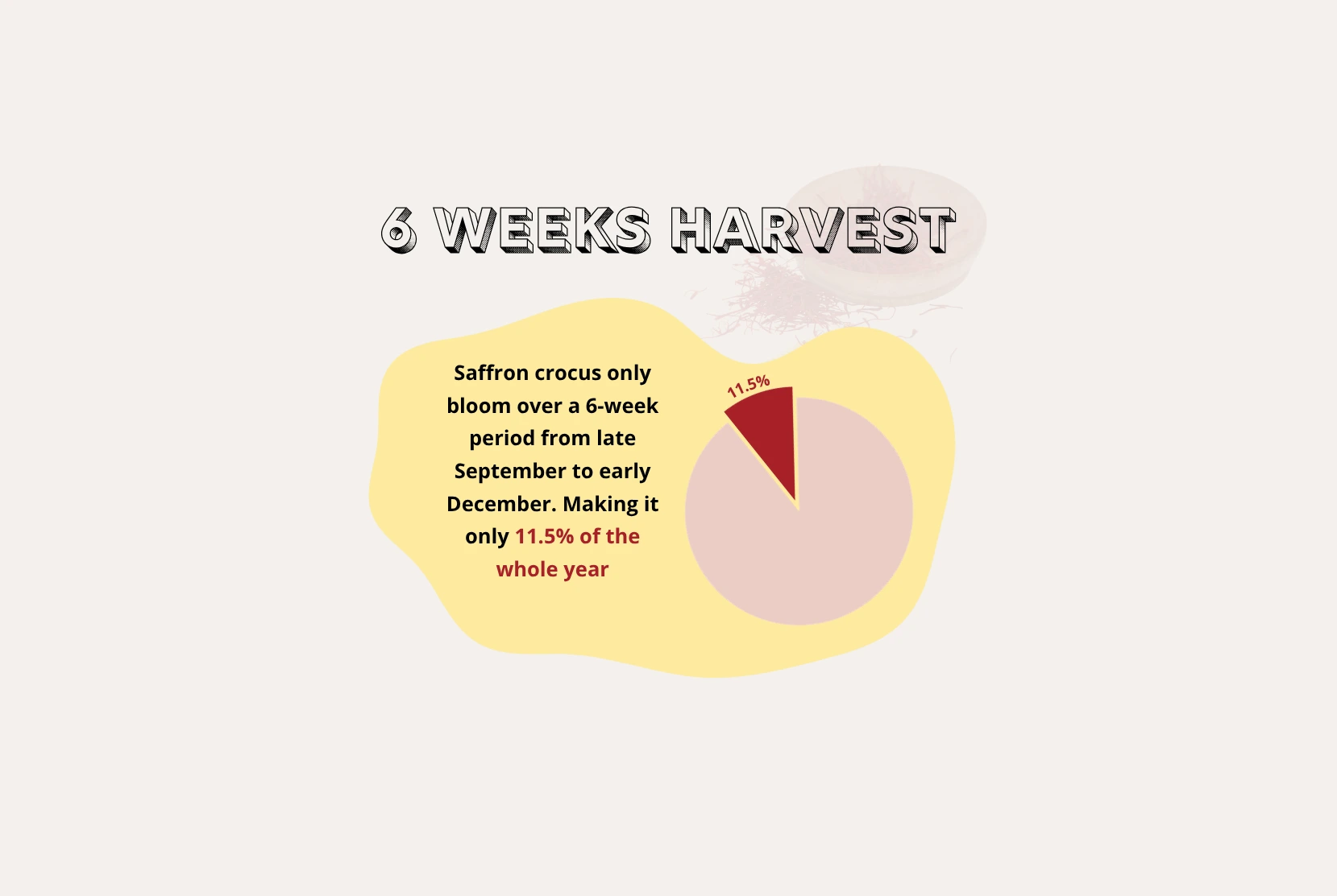 Harvest period for Saffron is only 6 weeks per year
