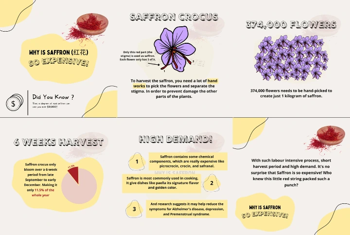 Summary of Why is Saffron so Expensive?