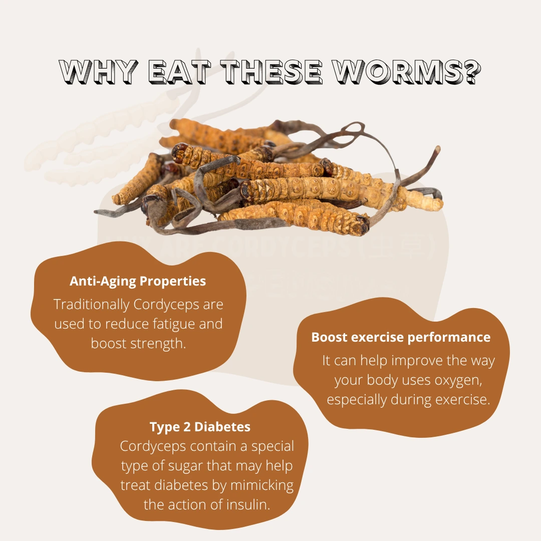 Cordyceps are consumed for its anti-aging and lungs benefits