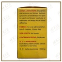 WCD24_image_3