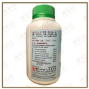 WGG15_image_2