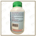 WGG15_image_3
