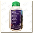 WGJ15_image_2