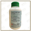 WGM25_image_2