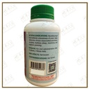 WGM25_image_3
