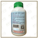WMX15_image_3