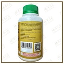 WPX15_image_3