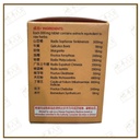 WSD11_image_2