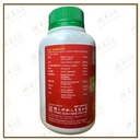 WYS25_image_2
