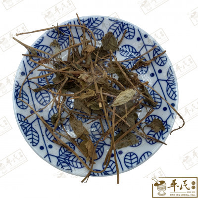 [HDL11] 东棱草.[12-7-07].草药.Dong Leng Cao; HDL11