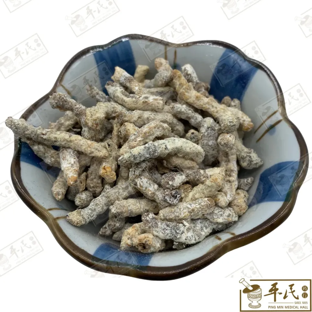 僵蚕.[05-5-01].草药.Jiang Chan;姜虫 HJC12