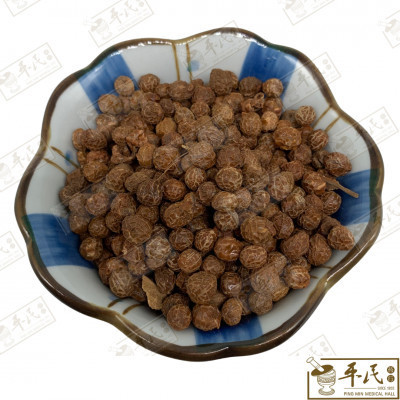 梧桐子.[07-7-05].草药.Wu Tong Zi; HWT11